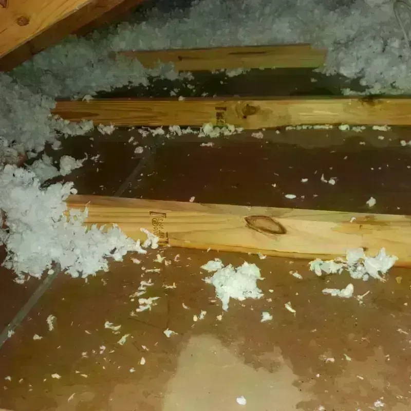 Attic Water Damage in Wolfforth, TX