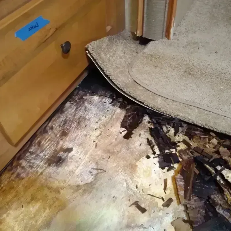 Wood Floor Water Damage in Wolfforth, TX